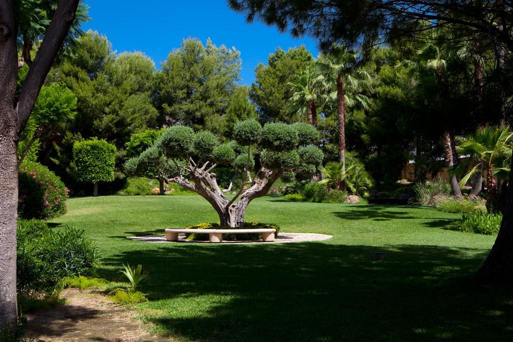 Jardines de Amaltea Hotel Lorca  Exterior foto