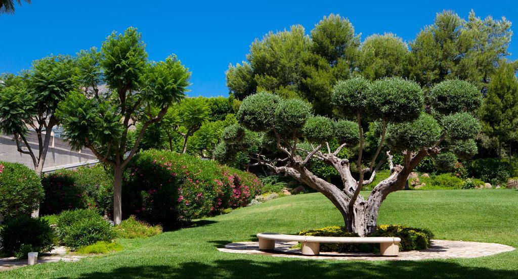 Jardines de Amaltea Hotel Lorca  Exterior foto